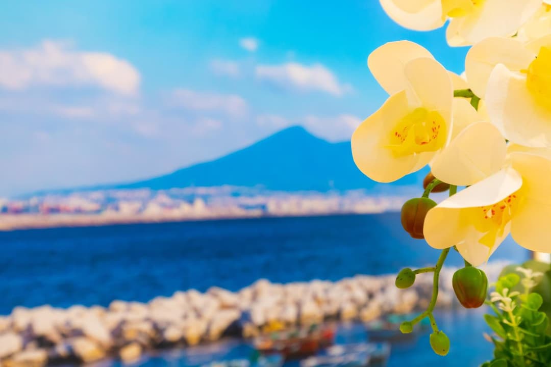 Le Meraviglie Di Napoli — photo 1 of 1