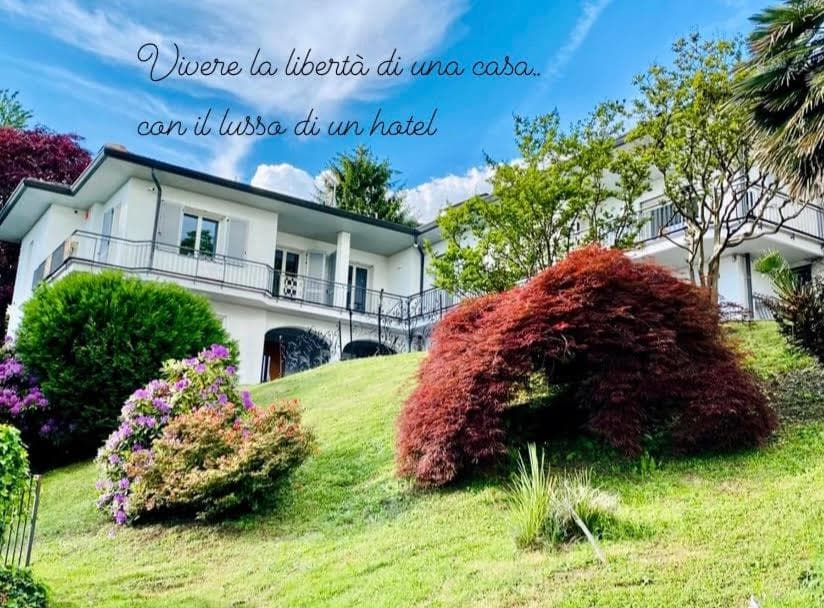 i FAGGI ROSSI - RED BEECH TREES — photo 1 of 1