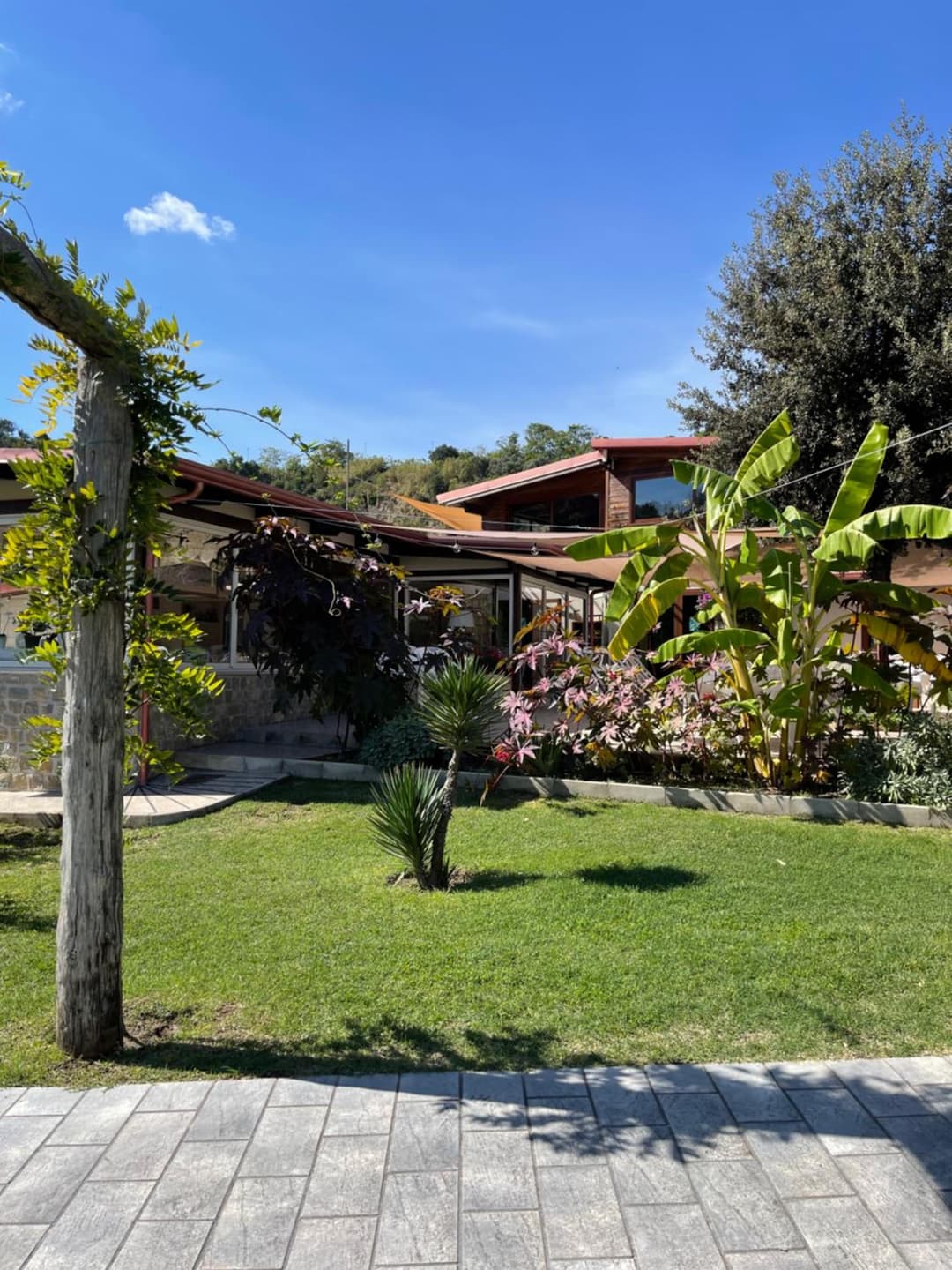 Tenuta calidarius — photo 1 of 72