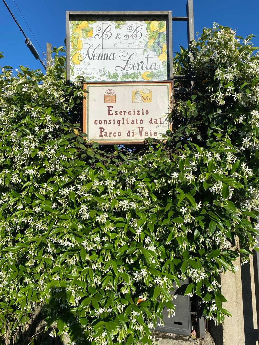 Bed and Breakfast Nonna Loreta — photo 1 of 1