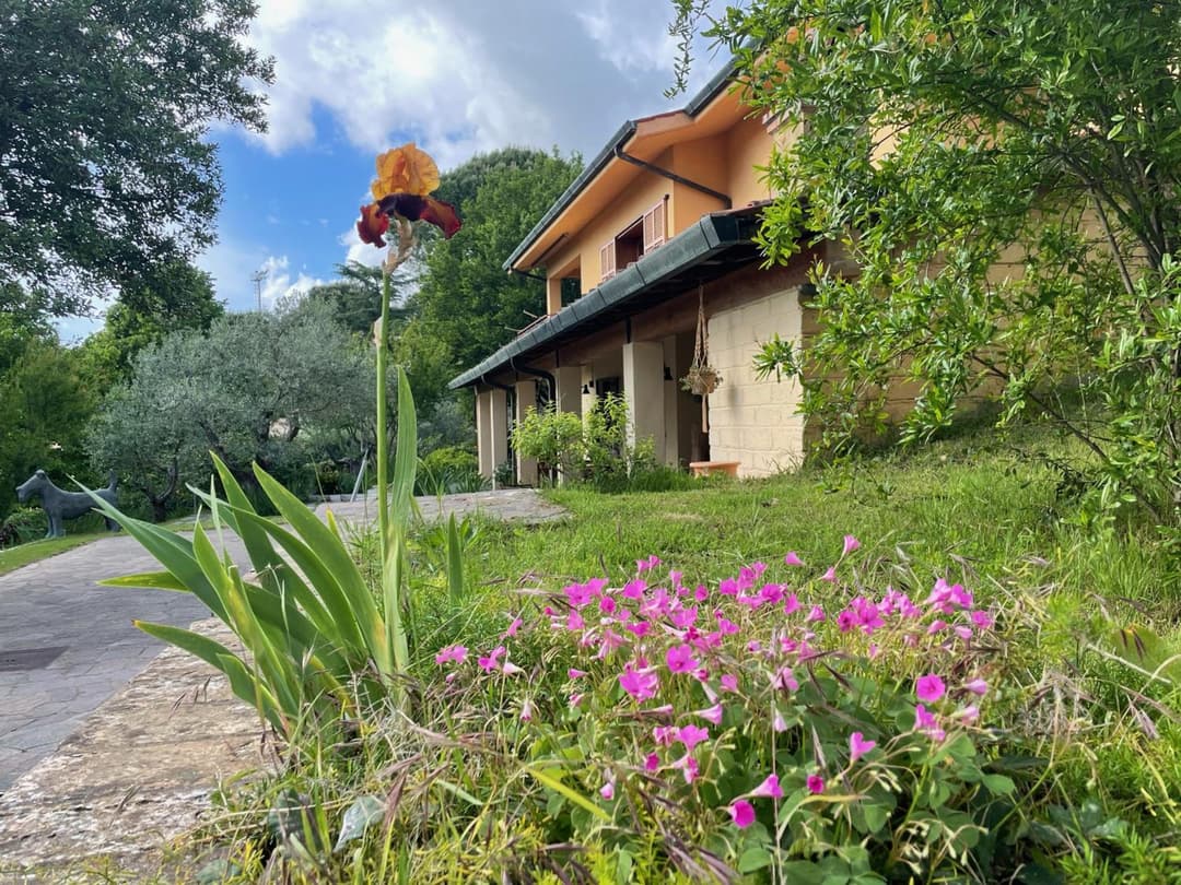 Botanea Guest House — photo 1 of 1
