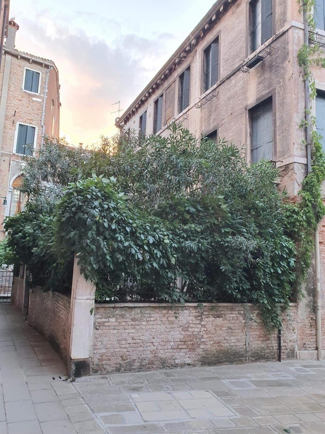 Residenza oleandro rosa — photo 1 of 15