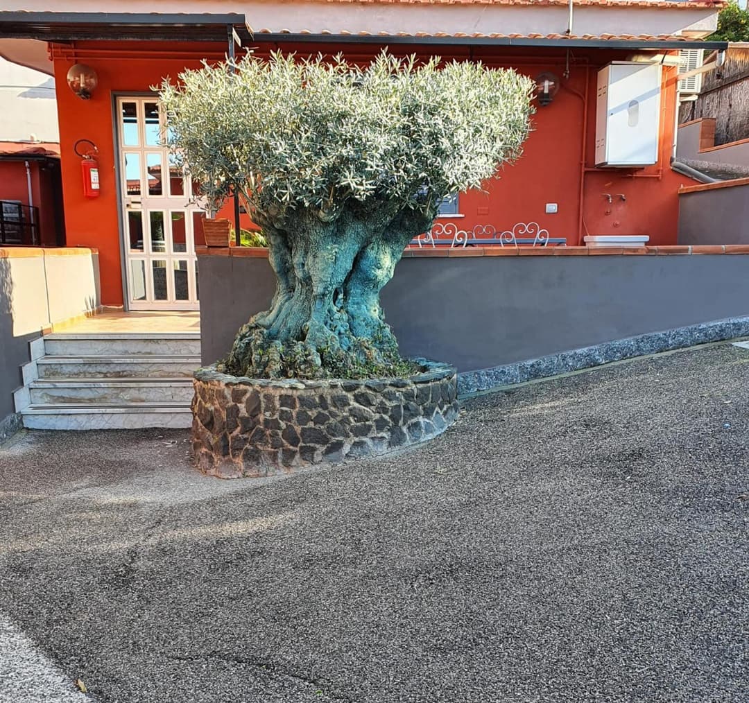 Bed & Breakfast Neapolis — photo 1 of 1