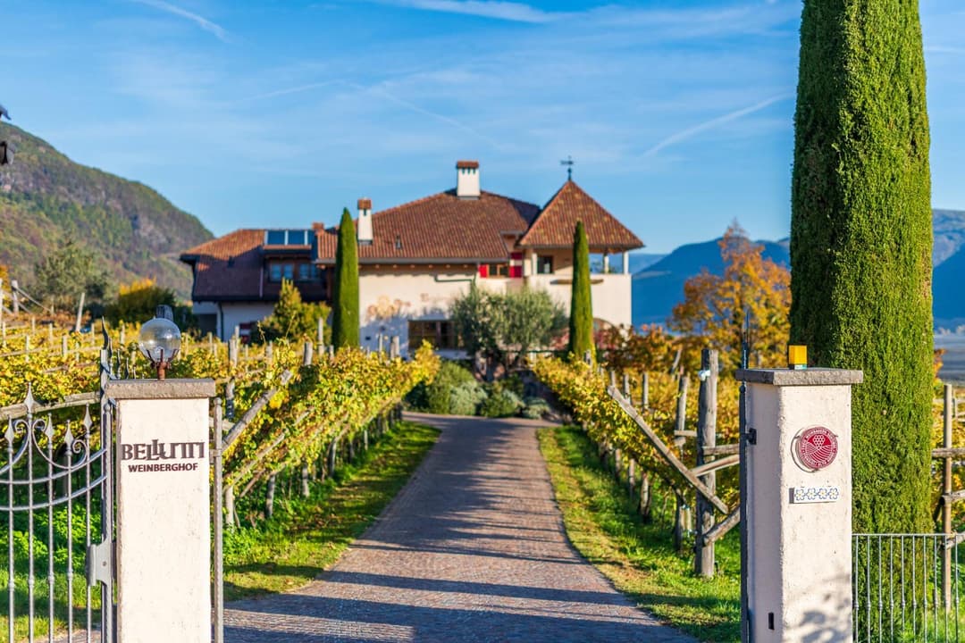 Weinberghof — photo 1 of 1