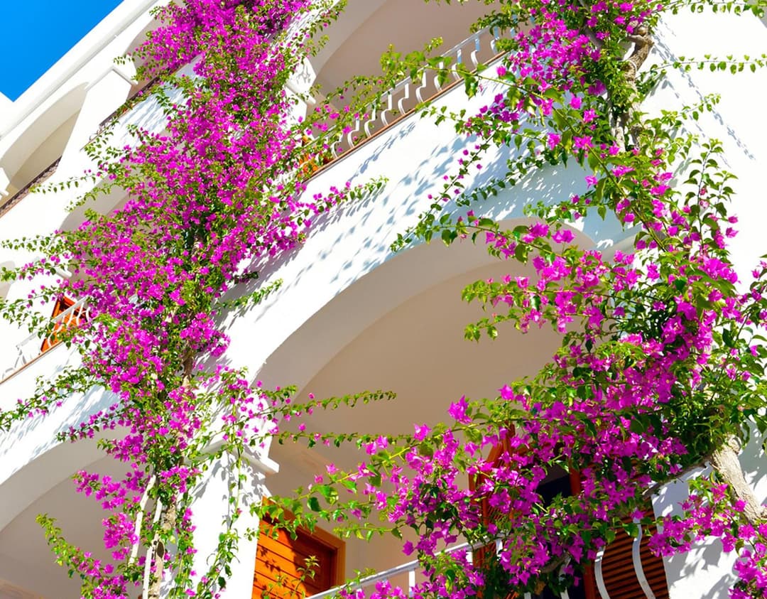 Villa Romana Hotel & Spa — photo 1 of 1