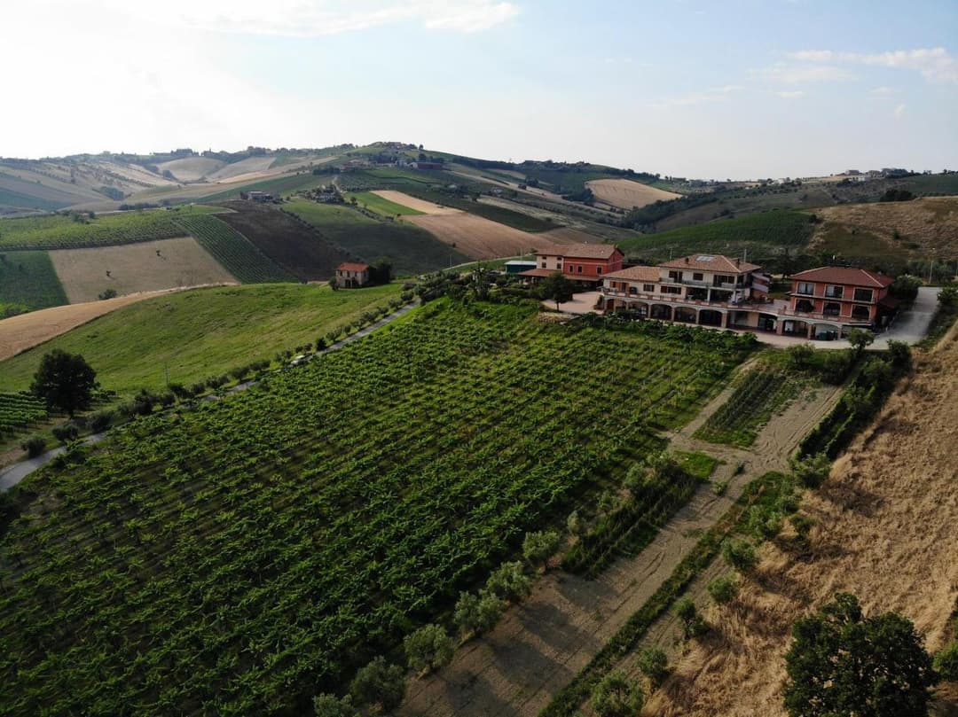 Agriturismo Emidio Pepe — photo 1 of 1