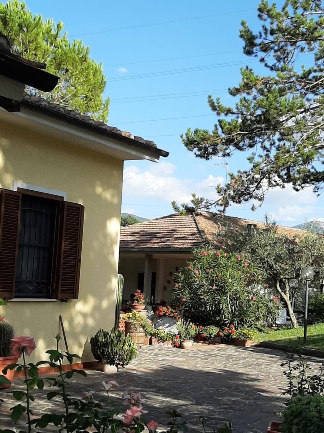 Valle degli Ulivi appartamento — photo 1 of 1