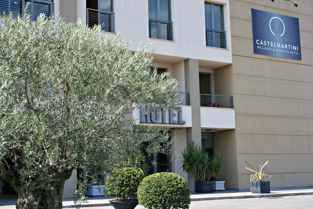 Castelmartini Wellness & Business Hotel — photo 1 of 48