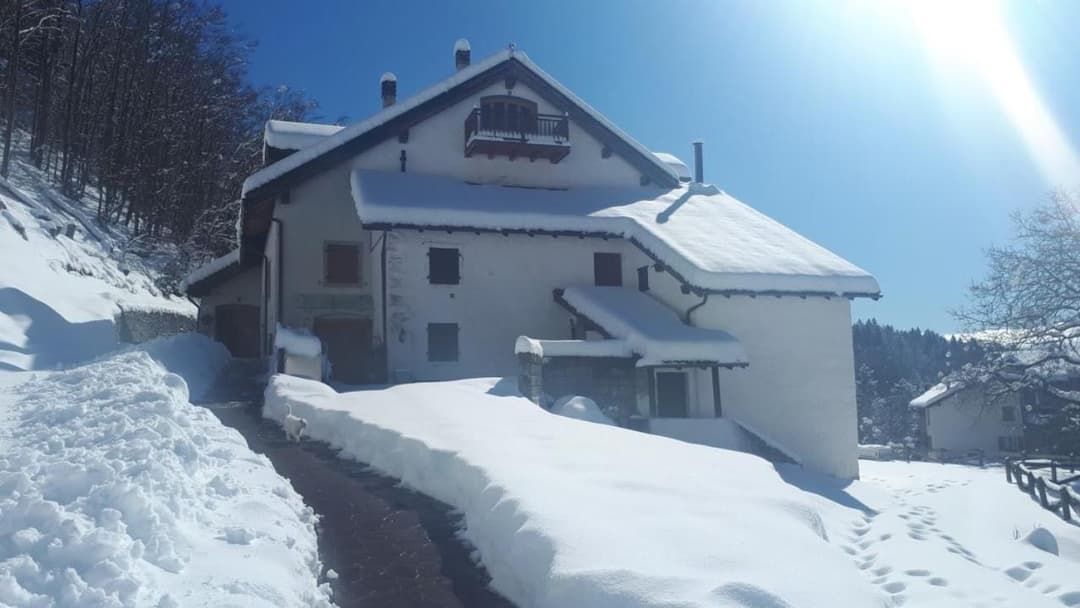 Haus Green & Spa Angelika Trentino — photo 1 of 1
