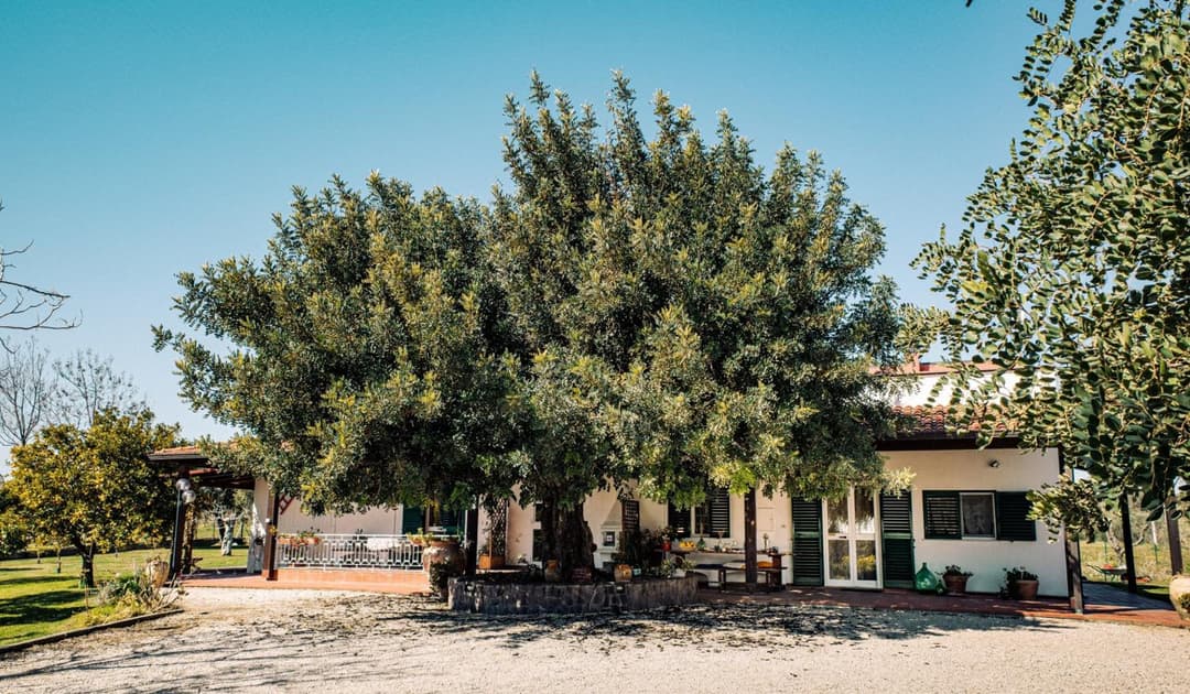 Villa Irene Pisticci-Matera — photo 1 of 1