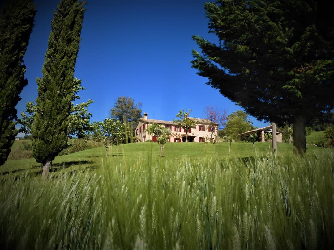 Quelli del Picchio — photo 1 of 1