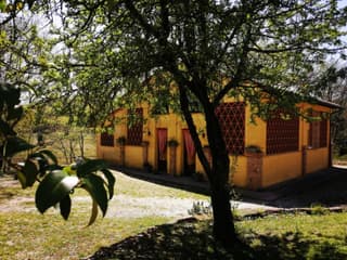Viva House