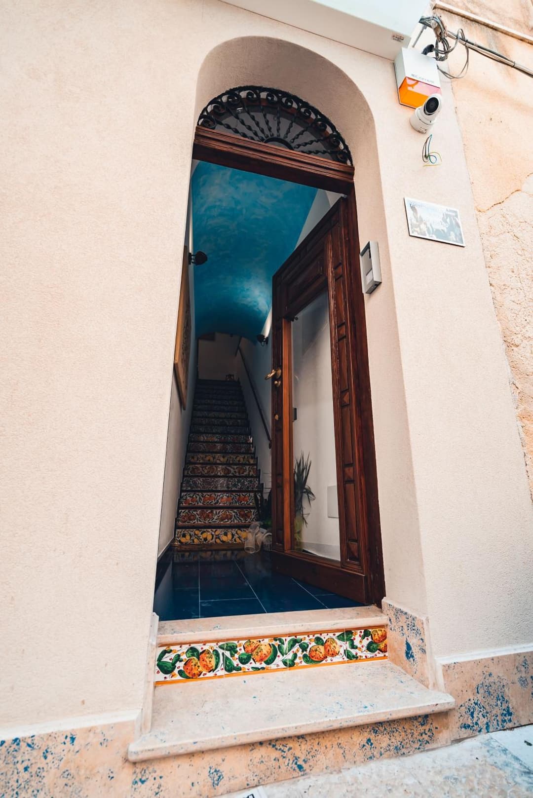 Macchia Mediterranea — photo 1 of 1