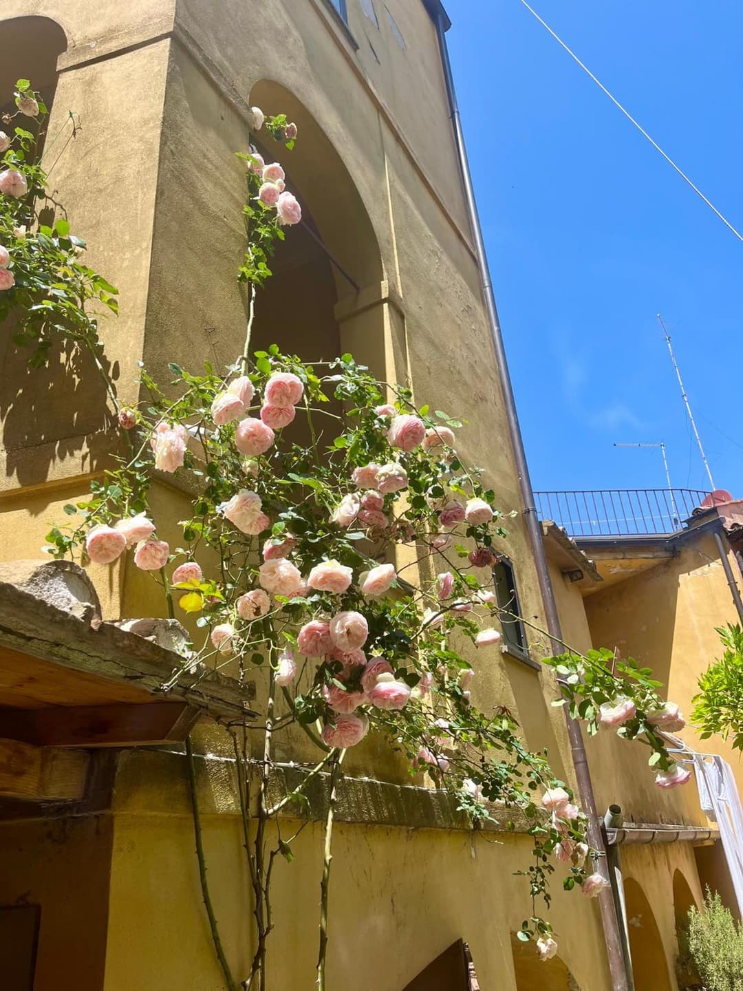B&B 'Degli Artisti' — photo 1 of 1