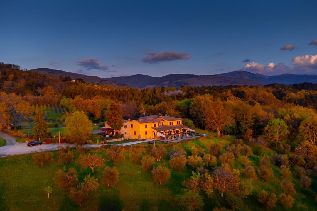 Tenuta Risalpiano — photo 1 of 1