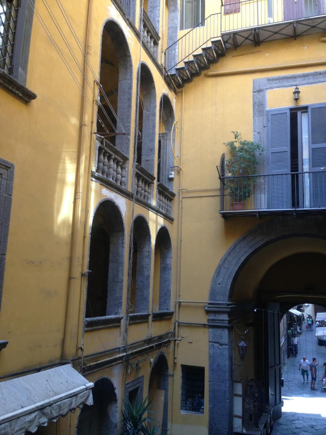 Casa Dodo — photo 1 of 1