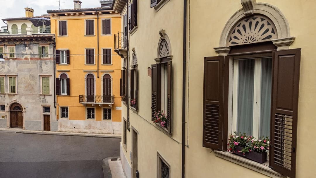 Butterfly Verona — photo 1 of 1