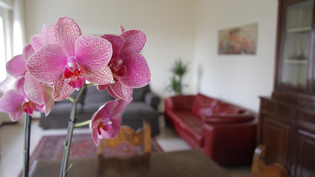 Casa Farinati — photo 1 of 1