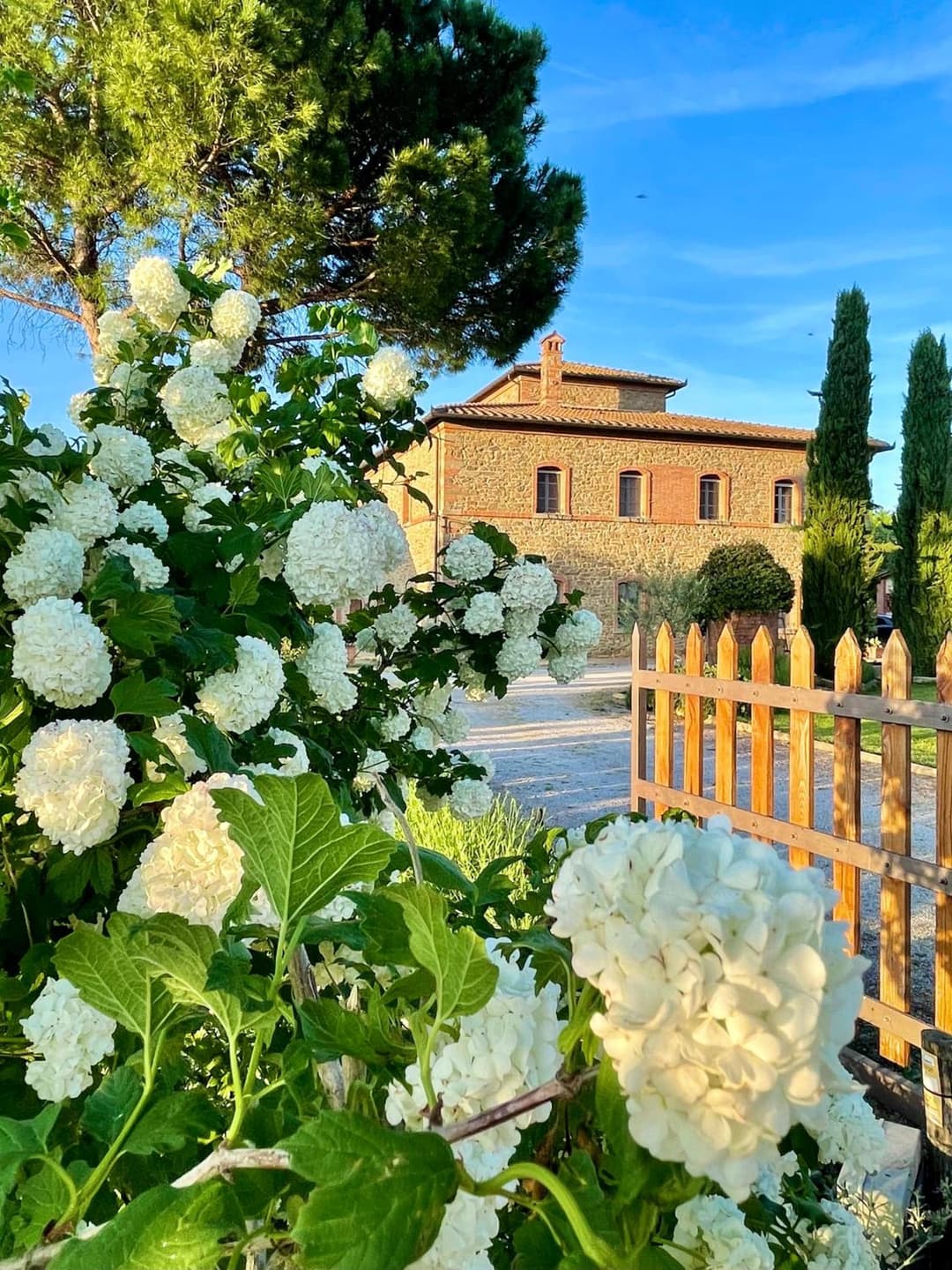 Agriturismo La Colmata — photo 1 of 48
