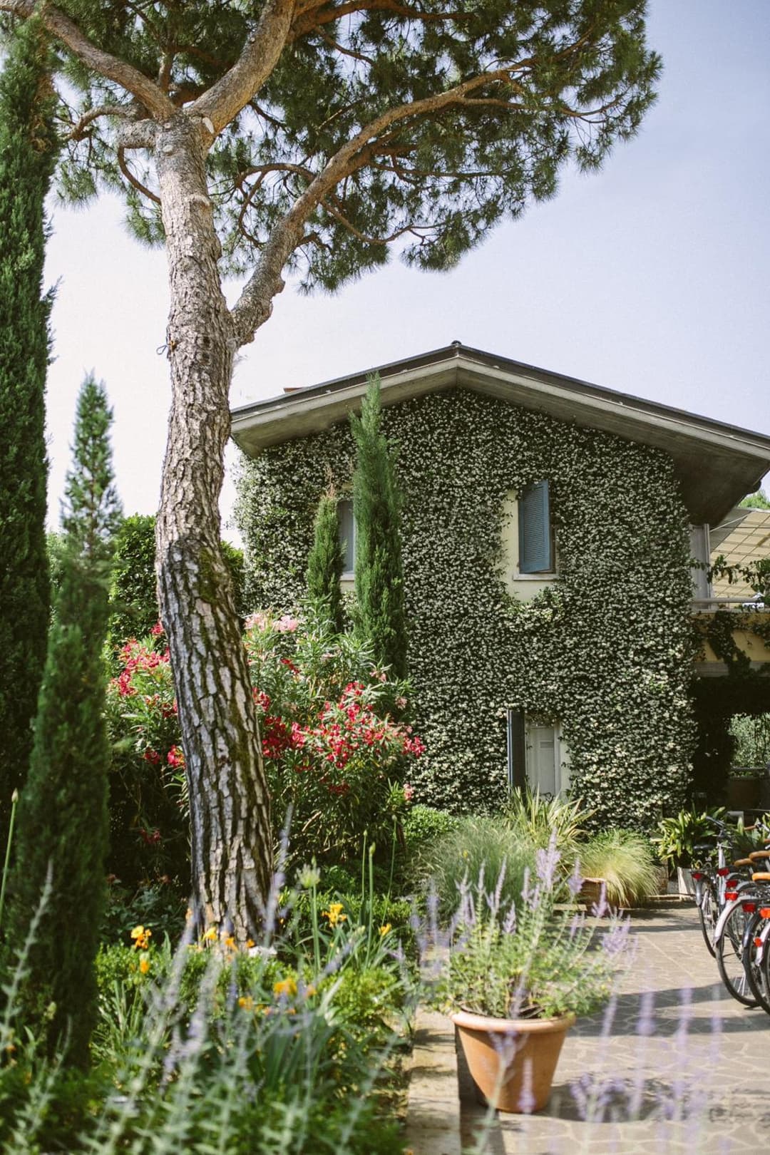 Hotel Piccola Vela — photo 1 of 1