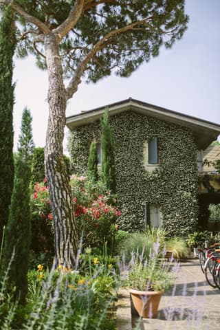 Hotel Piccola Vela