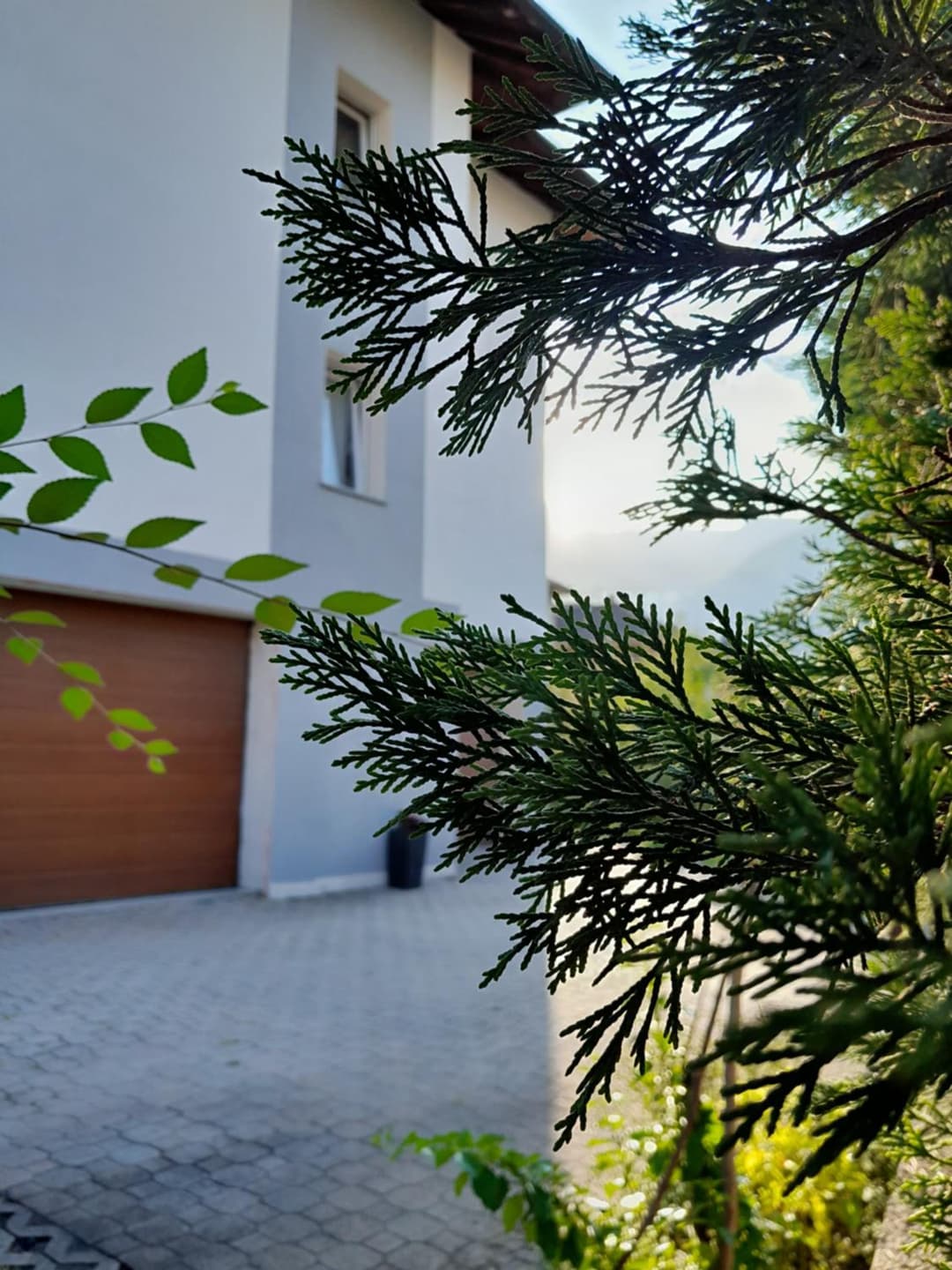 Appartment Lodged Mamma Maria — photo 1 of 1
