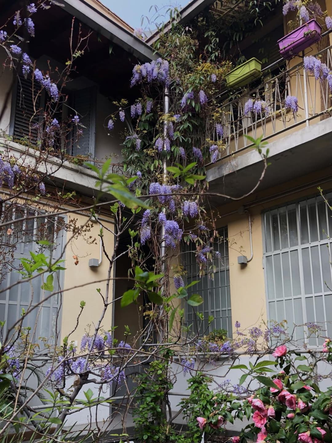 Isola Libera — photo 1 of 1