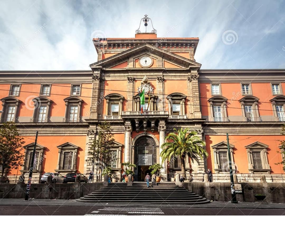 MAMO al Museo — photo 1 of 1