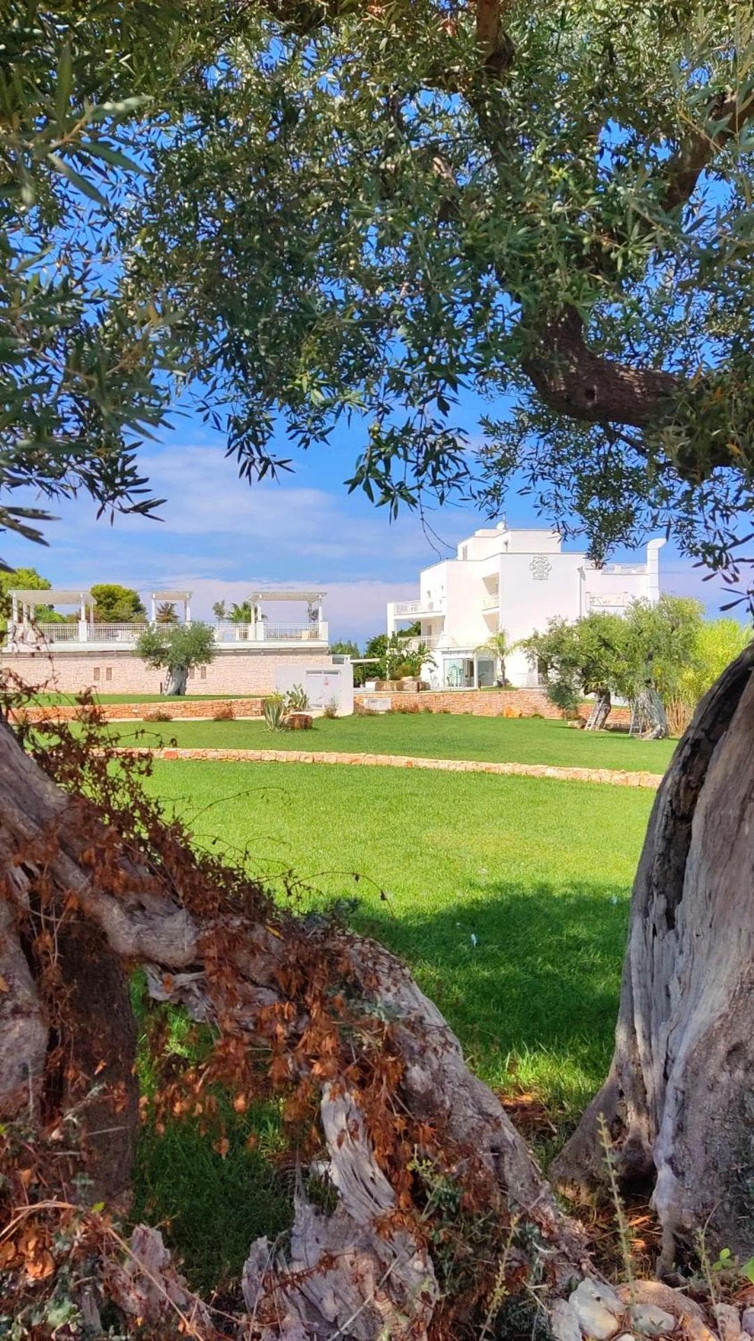 San Lorenzo Boutique Hotel & SPA — photo 1 of 1