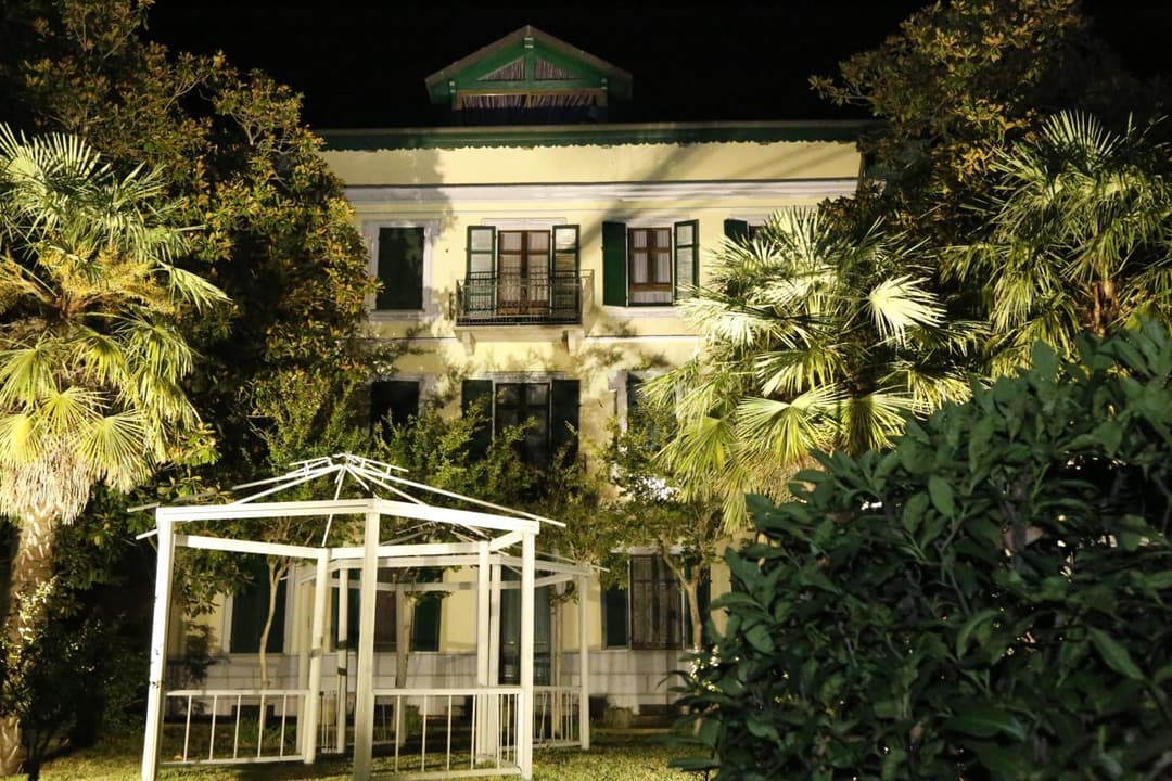 Hotel Damian Park Hotel Delle Magnolie — photo 1 of 1