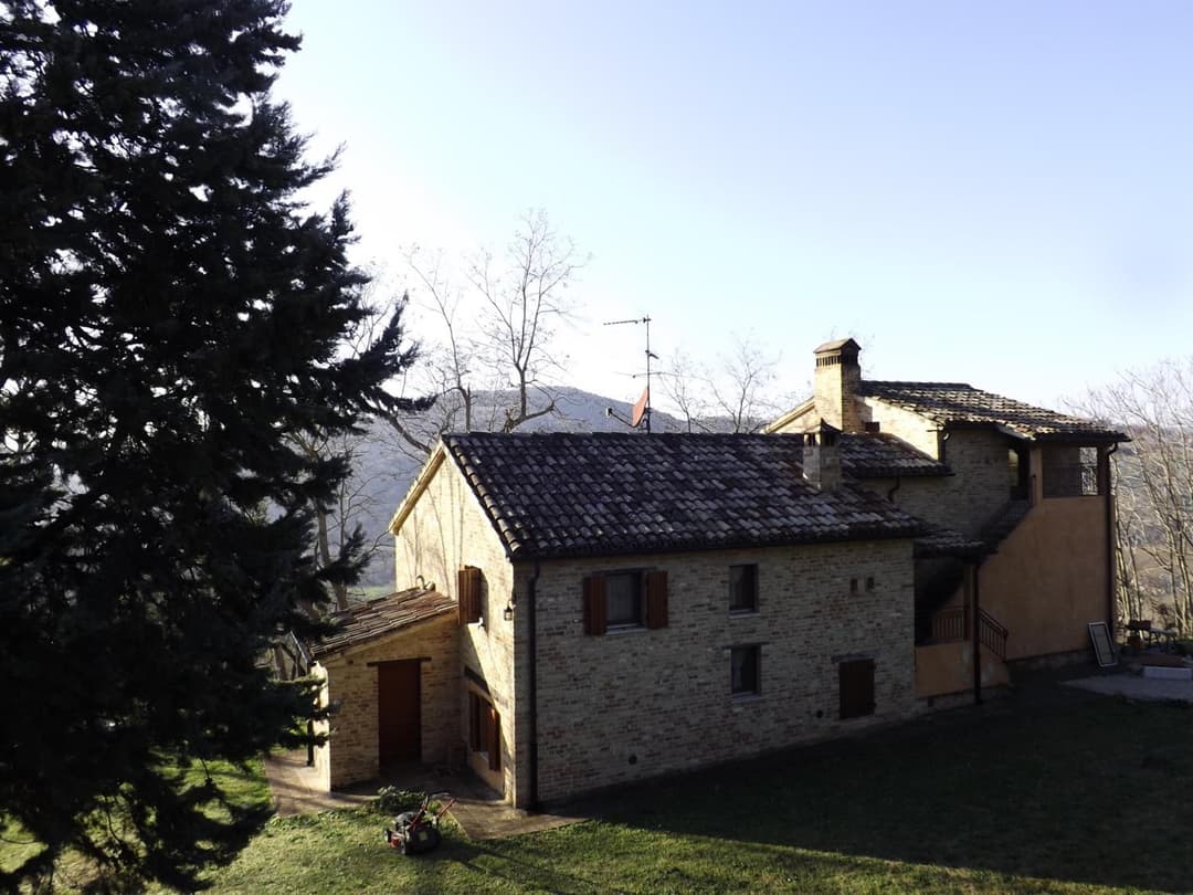 Piccolo Gesto d'Affetto — photo 1 of 1