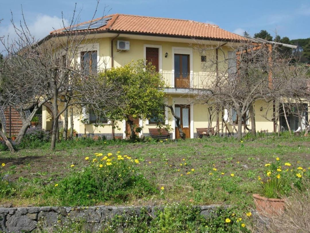 Biologico Dell'Etna — photo 1 of 1
