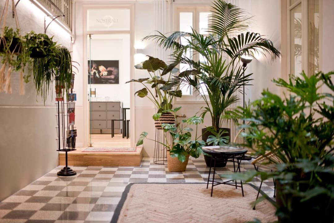 Nostrale bnb — photo 1 of 1