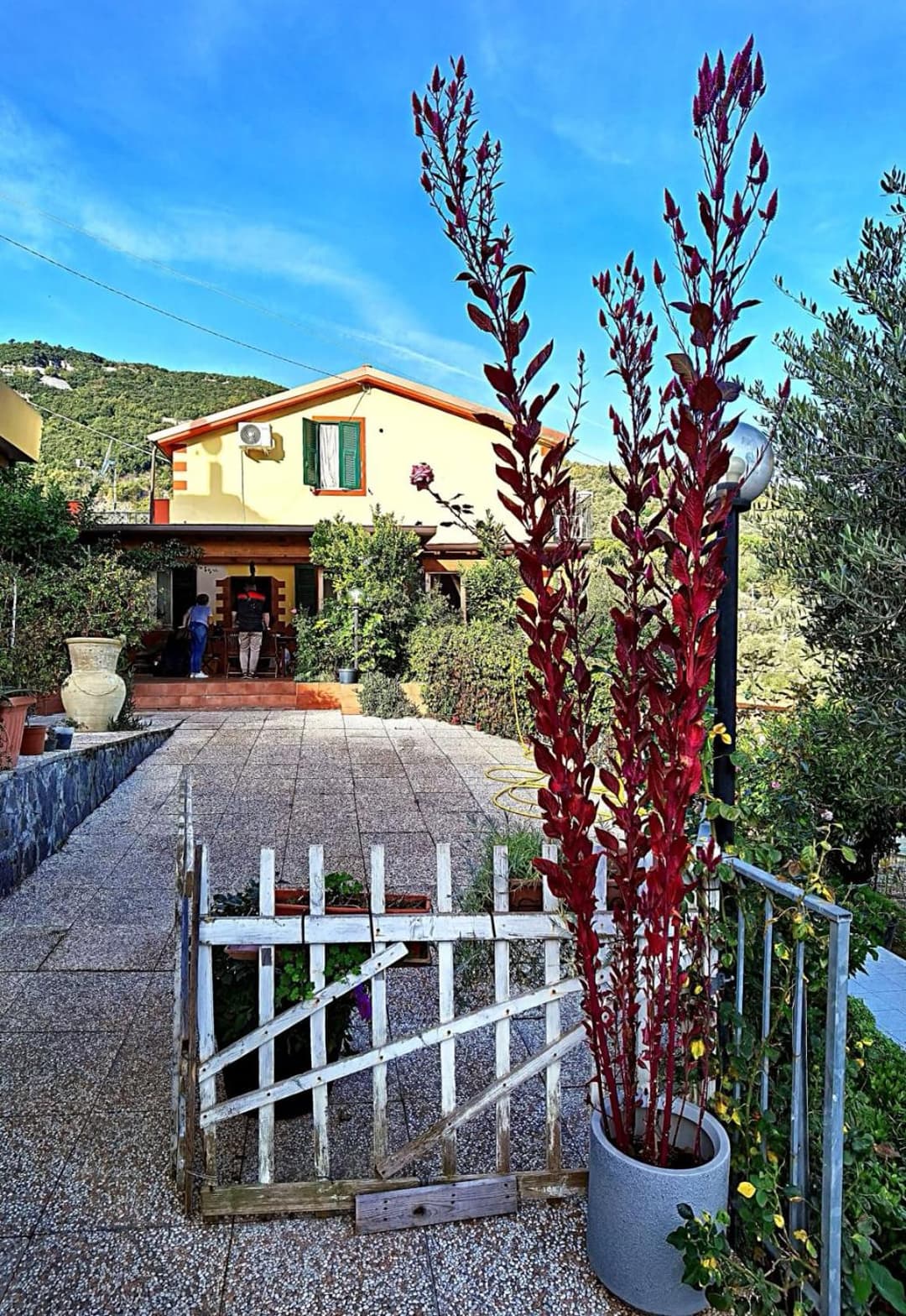 Villa Patrizia — photo 1 of 1