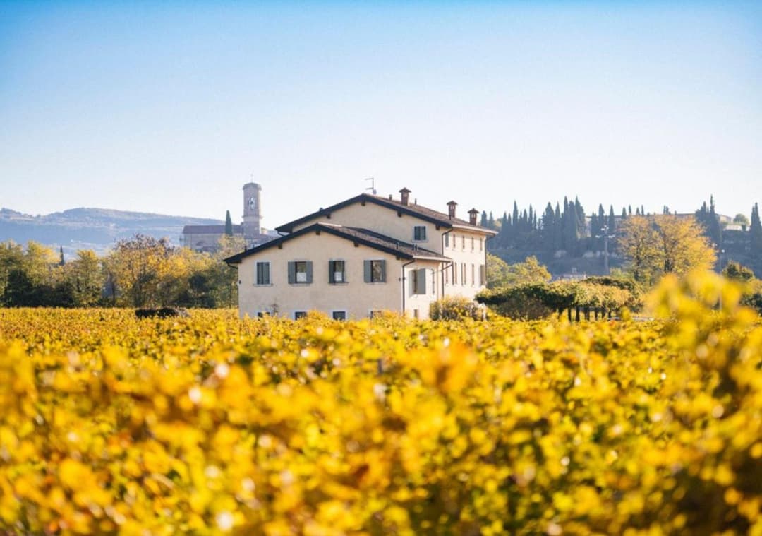 Dimora Buglioni Wine Relais — photo 1 of 1