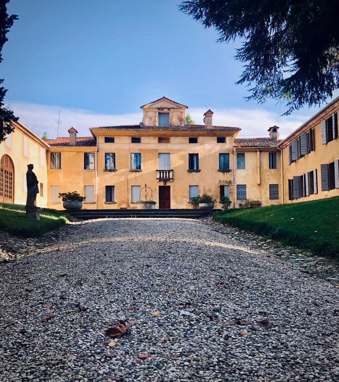 Alla vigna — photo 1 of 1