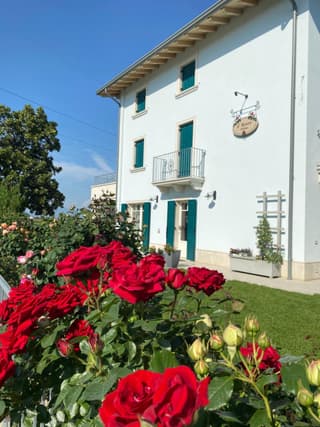 ROSETO HOLIDAYS AZZURRO