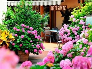 Affittacamere Dal Falco