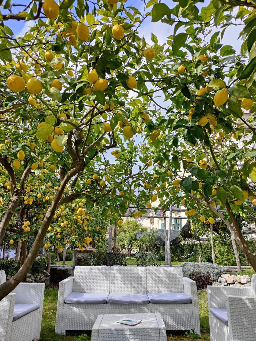 Casa Amorino — photo 1 of 1