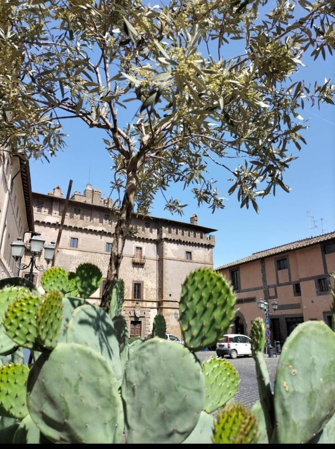 Giamevi House — photo 1 of 1