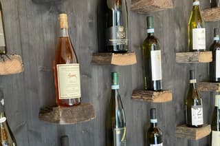 Villa Verdicchio - B&B with wellness for winelovers