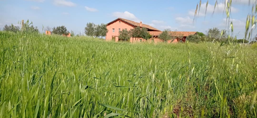 Il Casale di Giulia di Aprilia — photo 1 of 1