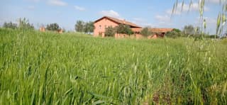 Il Casale di Giulia di Aprilia