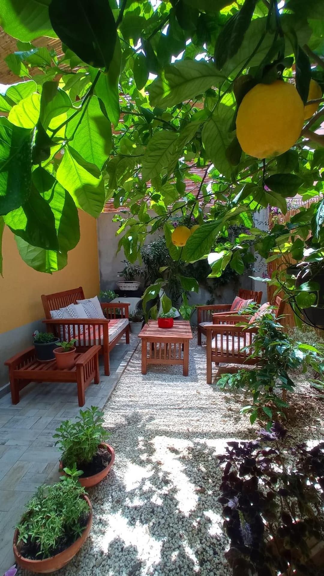 Green House — photo 1 of 1