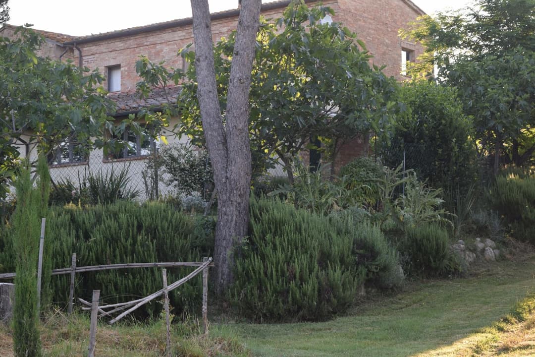 Il Saragio — photo 1 of 1