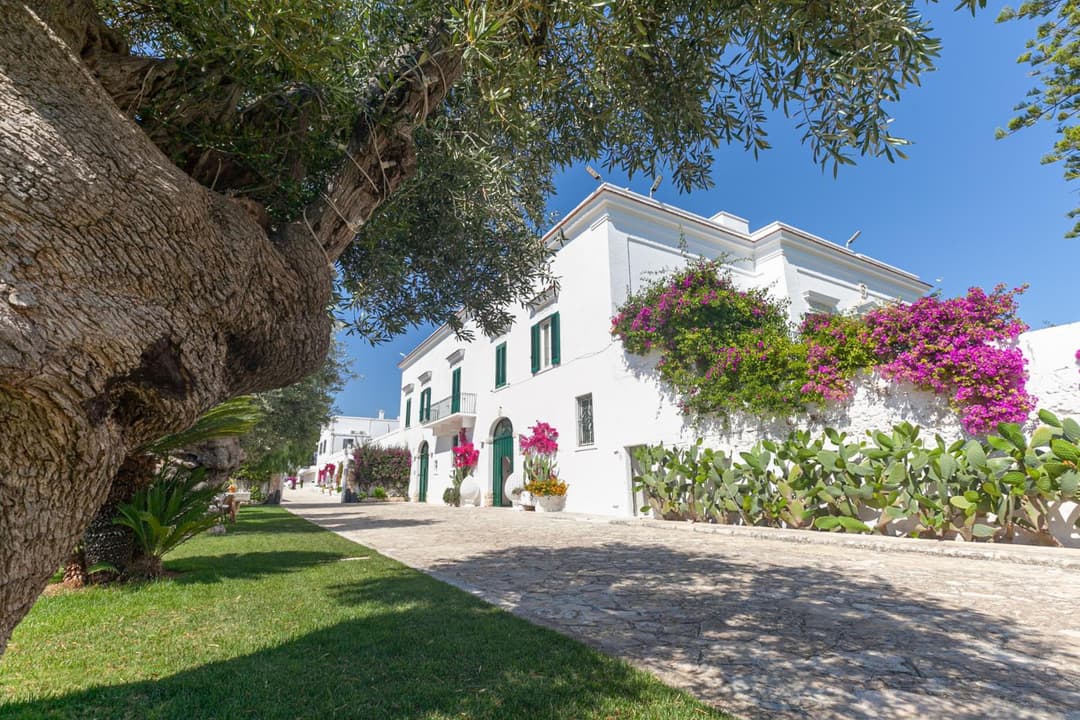 Masseria San Nicola Savelletri - B&B — photo 1 of 1