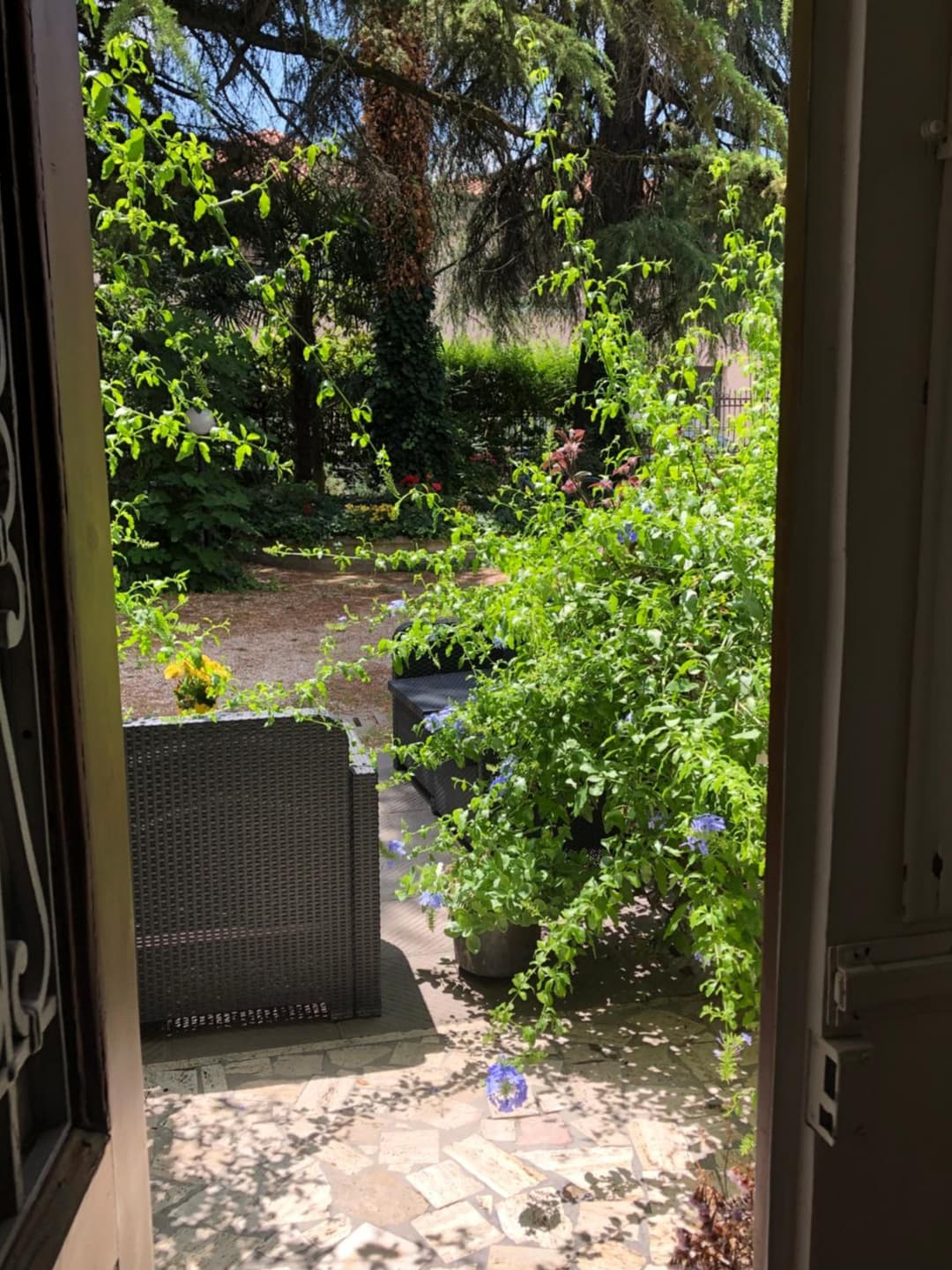 Villa Viola — photo 1 of 1