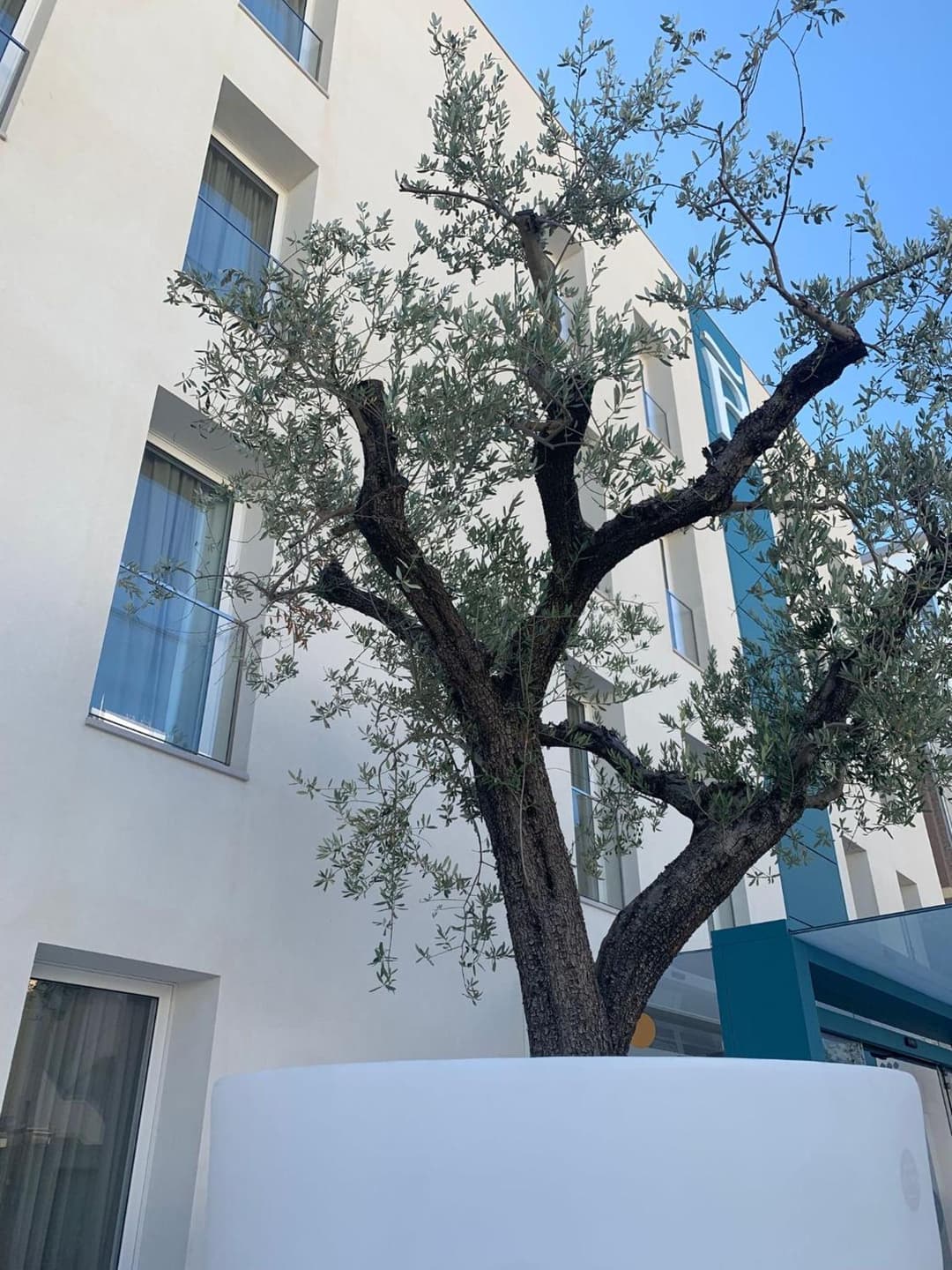 Biancodonda Greenblu Hotel & SPA — photo 1 of 1