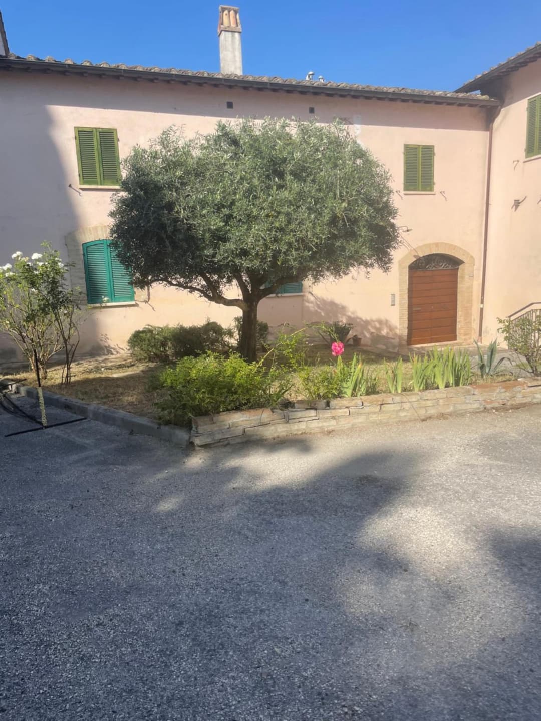 LA CASA TRA GLI ULIVI — photo 1 of 1