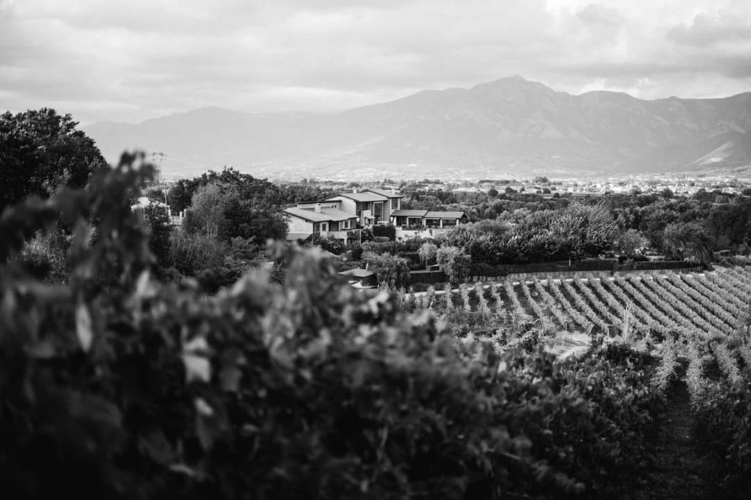 Tenuta Pezzapane — photo 1 of 1